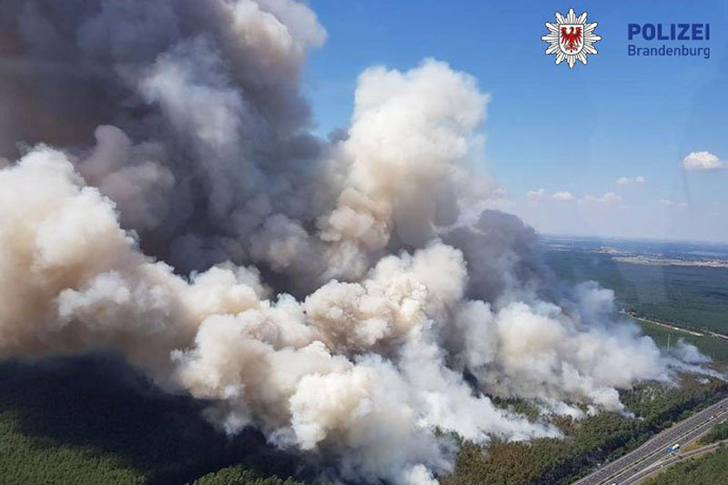 © Reuters/Polizei Brandenburg Waldbrand in Deutschland