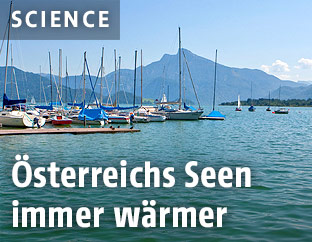 Mondsee