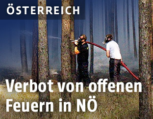Brandbekämpfung in einem Wald