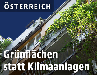 Grünflächen auf einem Gebäude