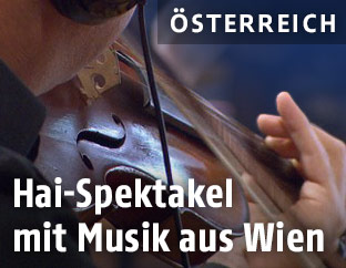 Violinspieler
