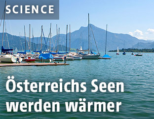 Mondsee