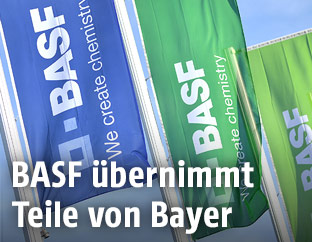 BASF-Logo auf Fahnen