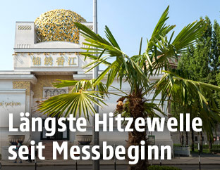 Palme bei der Secession