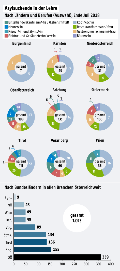 Tortengrafiken über die Lehrbeschäftigungsarten von Asylsuchenden, aufgeteilt nach Bundesländern und ausgewählten Branchen